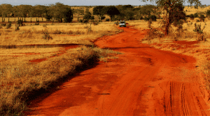 Kenya-Blog-Photo-3-300x167-1