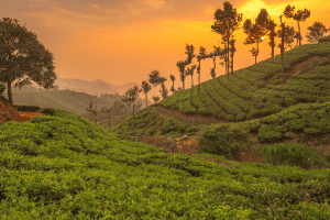 What-Do-You-Need-to-Know-About-Payroll-in-India-Blog-Photo-300x200