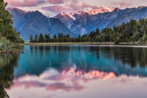 A Guide to Starting a Business in New Zealand