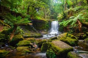 The Basics of Starting a Business in Australia