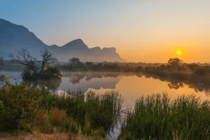A Guide to Starting a Business in South Africa