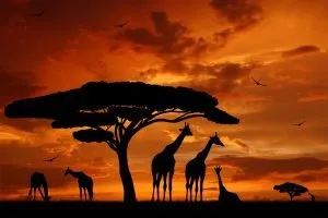 A-Guide-to-Starting-a-Business-in-Kenya
